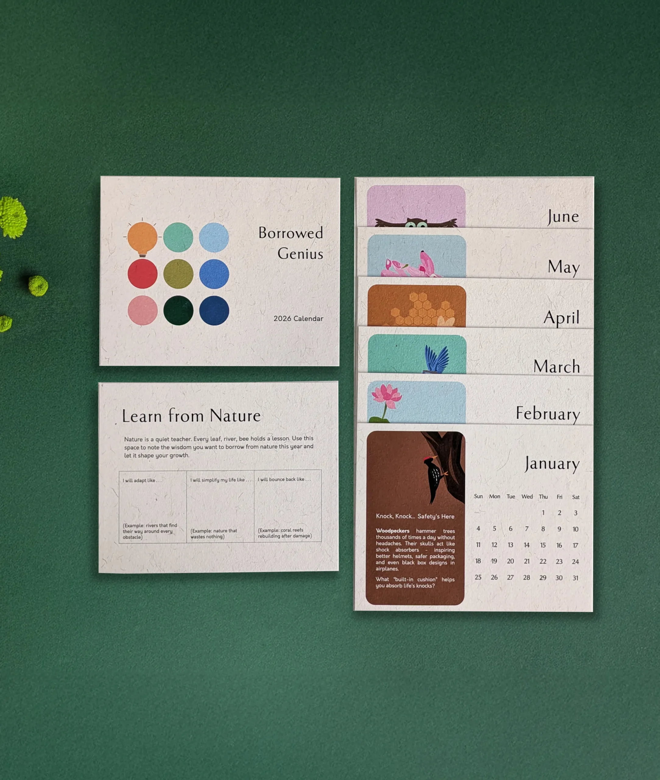 2026 Muse Box - Flora 5