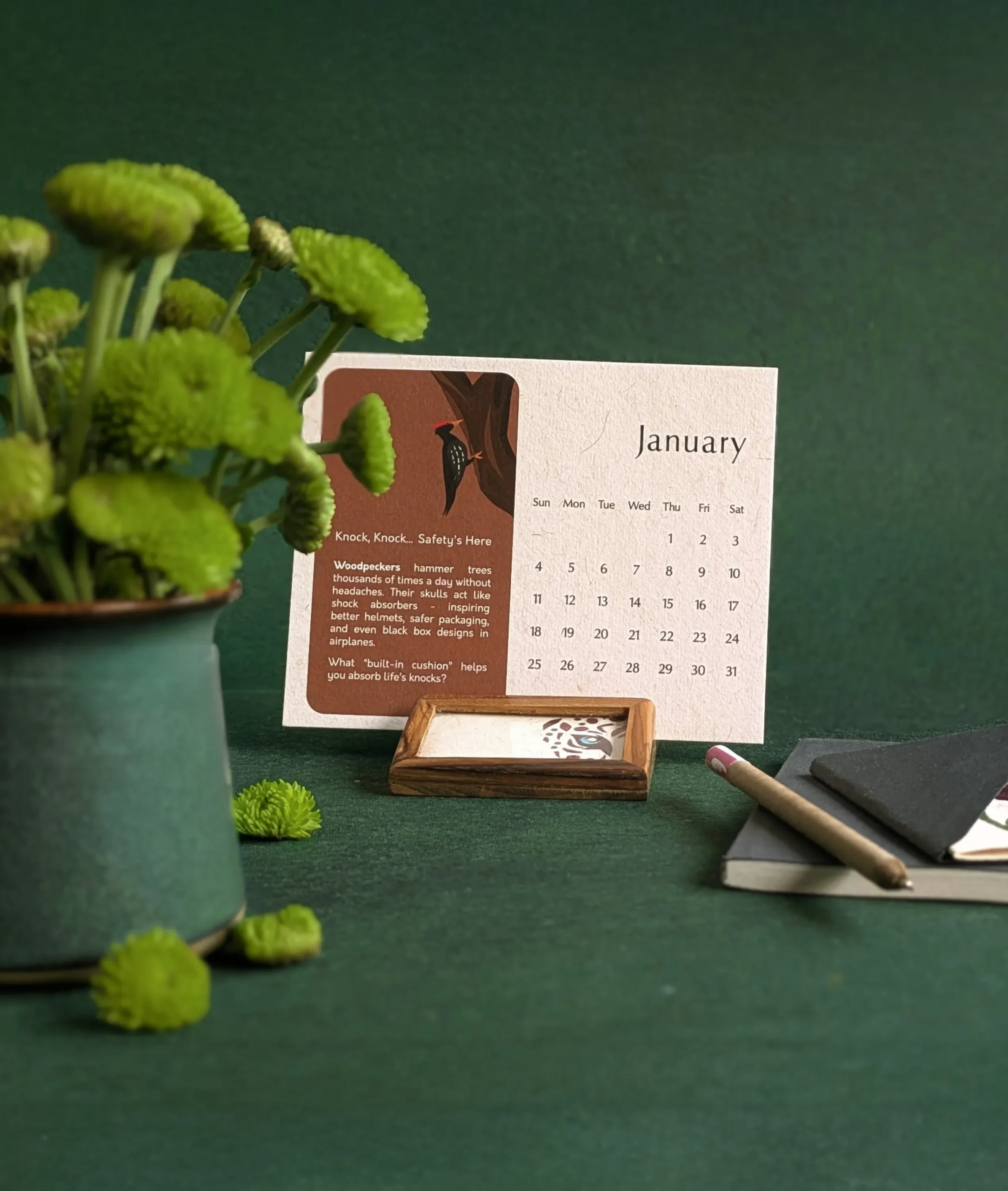 Simply 2026 Bundle 2